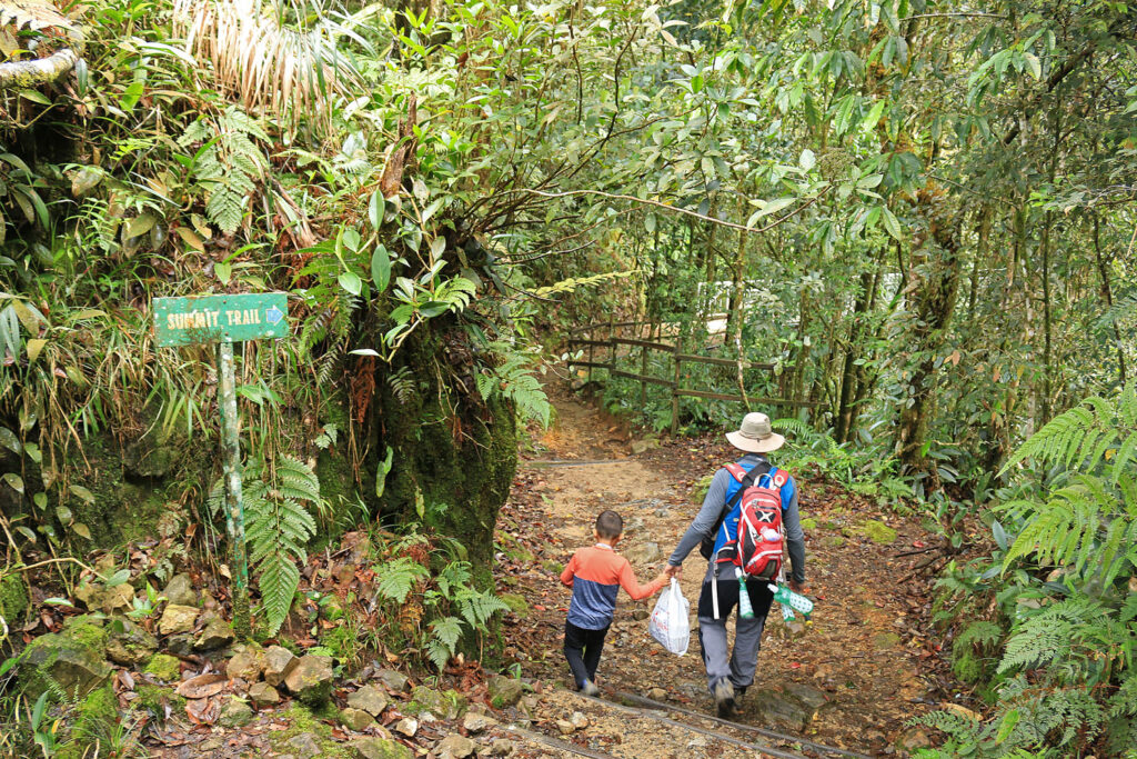 How hard is Mount Kinabalu to climb? It can get hot and sweaty walking through the tropical rainforest. 